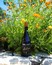 2020 Rose of Grenache - View 2