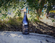 2019 Pinot Noir - View 2