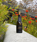 2018 Chardonnay - View 3
