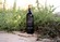 2019 Cabernet Sauvignon XLB - View 2