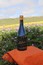 2018 La Veuve du Pape - XLB - View 2