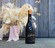 2020 Petite Sirah - View 5