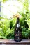 2019 Syrah - View 2