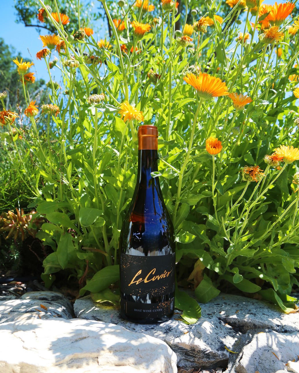 2020 Rose of Grenache