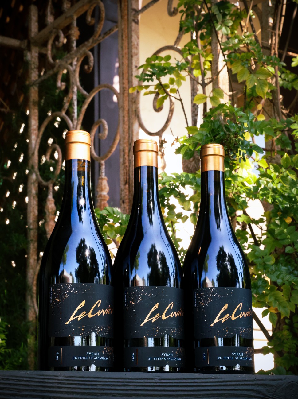 2025 Syrah Vertical