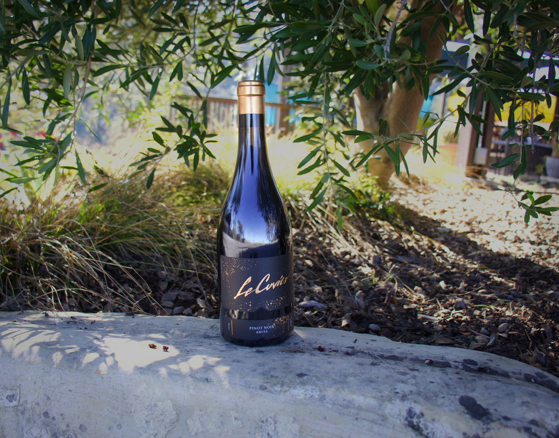 2019 Pinot Noir