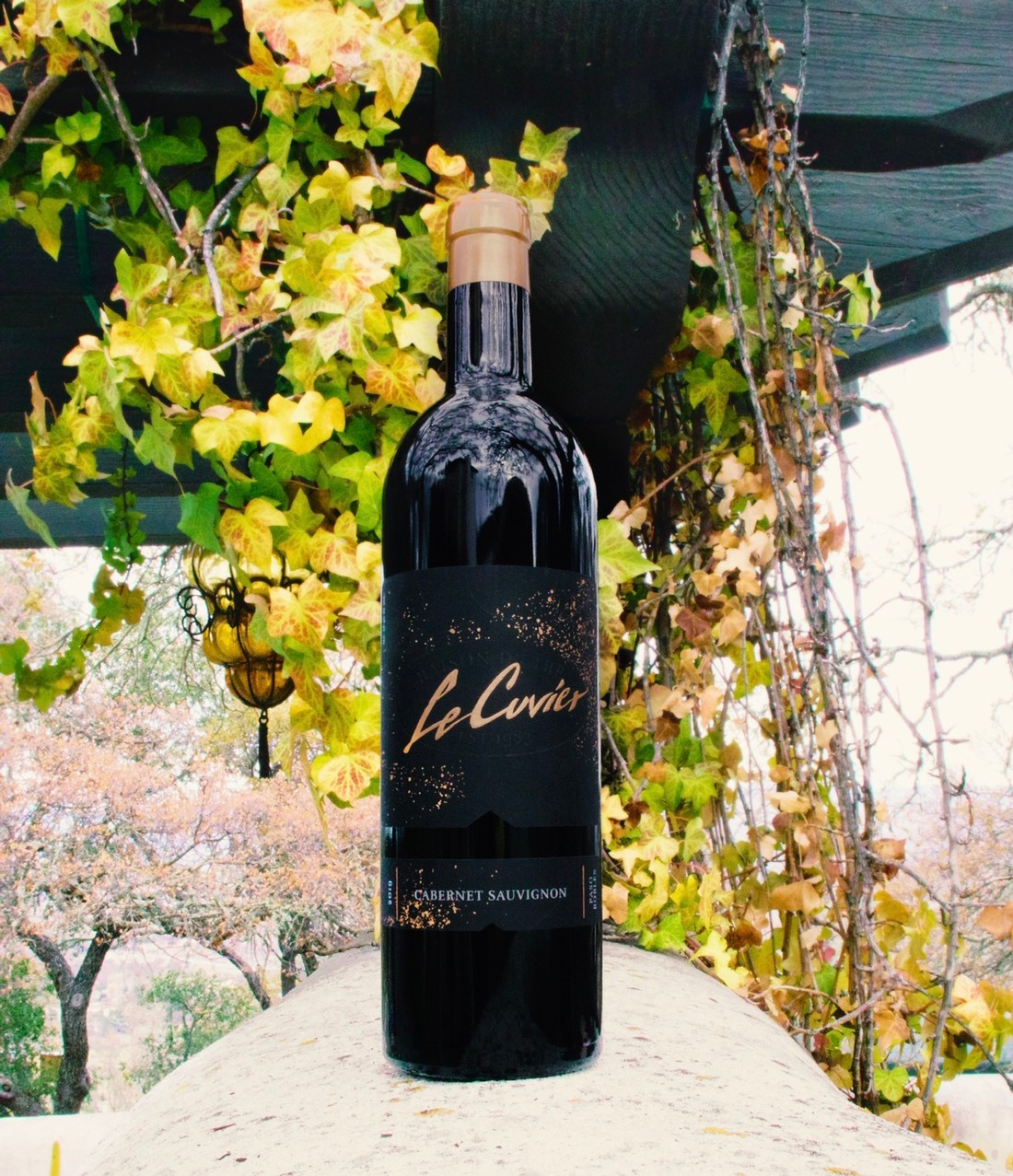 2019 Cabernet Sauvignon