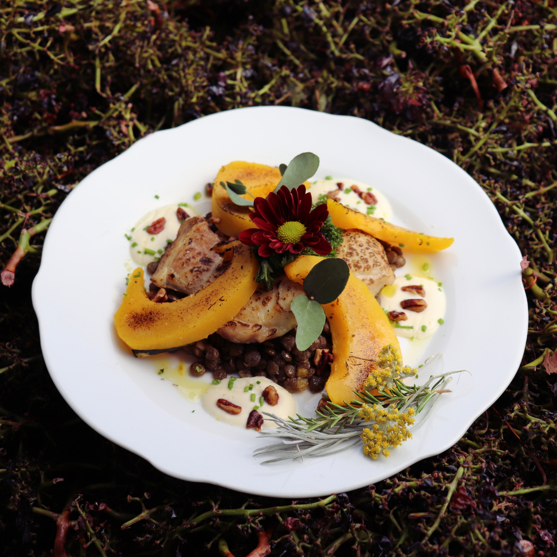 Oven Roasted Chicken with Green Lentils & Carnival Squash